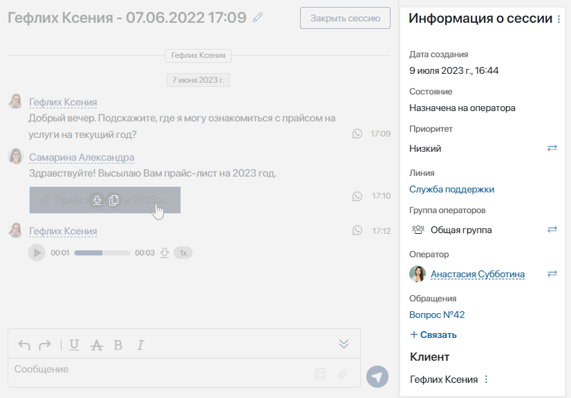 working_in_chat-5